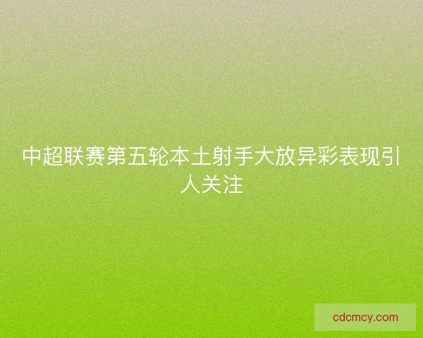 中超联赛第五轮本土射手大放异彩表现引人关注